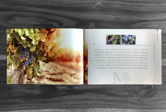 La Mondianese :: brochure prodotti